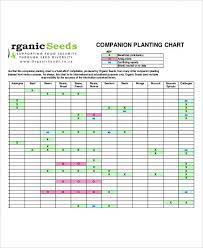 Companion Planting Chart 9 Free