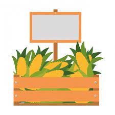 Wooden Box With Sweet Corn Isolated Icon