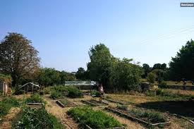 Camping In A Permaculture Smallholding