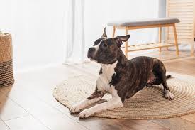 Flooring Services In Richmond Va