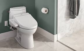 How To Install A Bidet The Home Depot