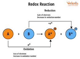 Types Of Redox Reactions Important