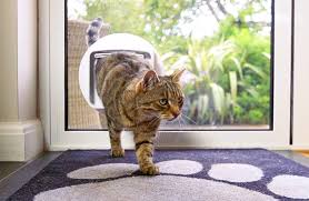 Cat Sureflap Microchip Cat Door Connect