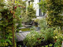 Secret Paris A Tiny Roof Garden With