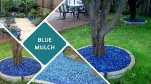 What Is Blue Mulch And Why Should You