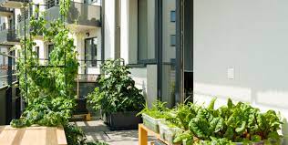 Design A Beautiful Condo Balcony Garden