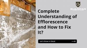 Complete Understanding Of Efflorescence