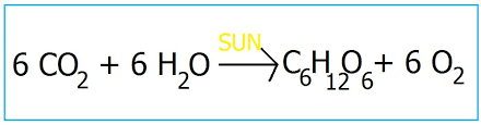 Life Science Class Summary 3 9 15