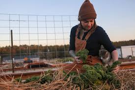 Fall Vegetable Garden What To Plant In