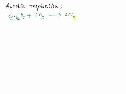 Word Equation For Anaerobic Respiration