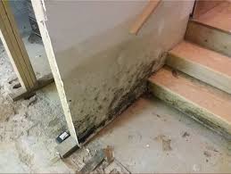 House Mold Problems Ohio Basement Systems
