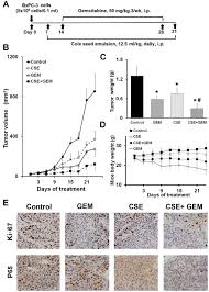 gemcitabine in pancreatic cancer