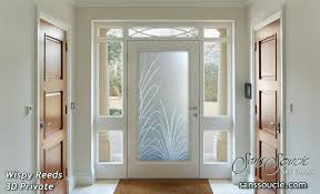Glass Entry Doors Wi Reeds 3d Priv