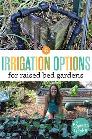 6 Raised Bed Irrigation Options For