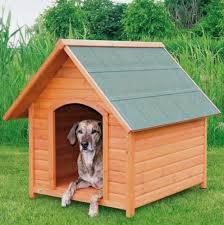 Dog Kennel At Rs 9000 Piece Dog House