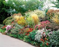 This Low Water Garden Plan Will Look
