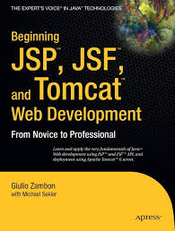 Beginning Jsp Jsf And Tomcat Web