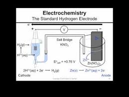 The Standard Hydrogen Electrode