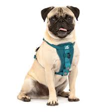 Enhanced Strength Kurgo Dog Car Harness
