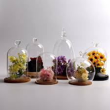 Large Clear Glass Display Dome Bell Jar