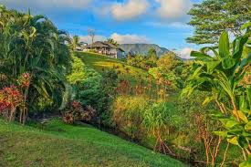 Kauai County Hi Homes For Kauai