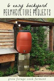 6 Easy Backyard Permaculture Projects