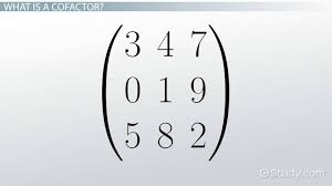 Cofactor Matrix Definition