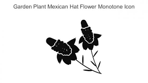 Garden Plant Mexican Hat Flower Monoton