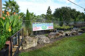 Laurel Oaks Odessa Fl Plants