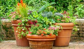 Planters For Improving Your Curb Appeal