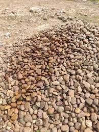 Pondicherry Pebbles Stones