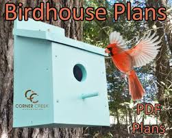 Diy Birdhouse Plans Simple Bird House