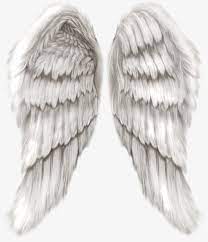 Angel Wings Png Free Angel