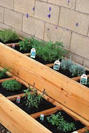 Outdoor Herb Garden Ideas The Idea Room