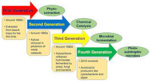 Generations Of Xylitol Ion From