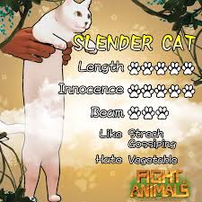 post launch character slender cat