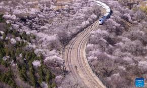 Suburban Railway Scenery In Beijing