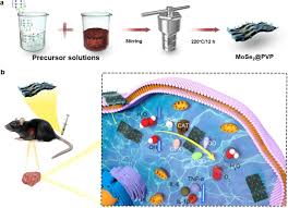 Mose2 Pvp Nanosheets With Multi Enzyme