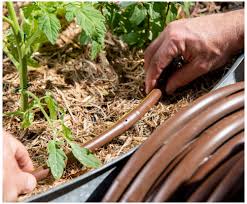 About Us Gardening With Pope