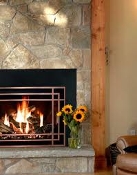 Gas Fireplace Insert