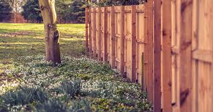 Halesworth Suffolk Est Fence Panels