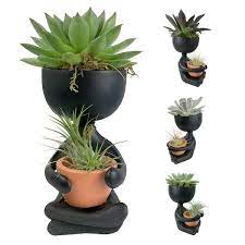 Zen Harmony Planter Live Plants In A Decorative Pot Cactus Succulent Air Plant A Symbol Of Serenity And Beauty