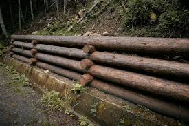 Natural Retaining Wall Made Of Wood Logs