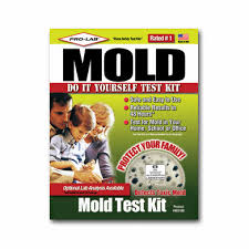 Mold Mildew Test Kit