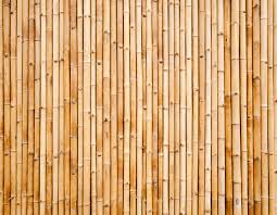 Bamboo Fence Images Browse 35 347