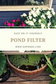 Diy Pond Filter Ozponds