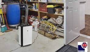 Basement Dehumidifier 5 Important