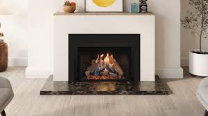 Log Fireplace Insert Gas Stoves