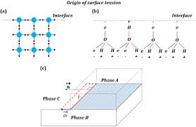 Surface Tension Equilibrium
