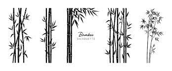 Bamboo Images Browse 1 002 627 Stock
